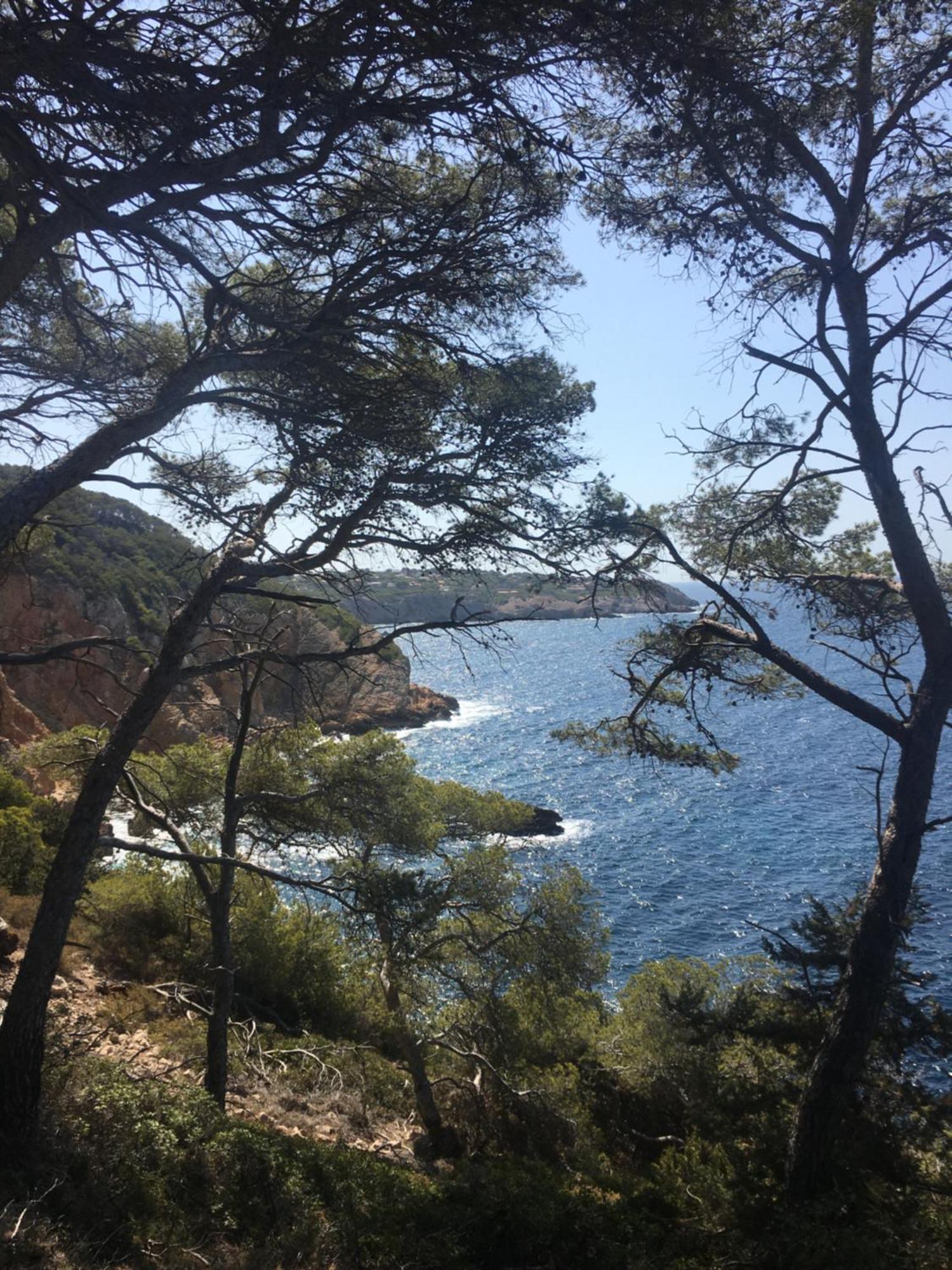 Studio Cosy Proche Mer Saint-Cyr-sur-Mer Exterior foto