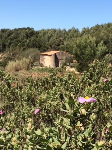 Studio Cosy Proche Mer Saint-Cyr-sur-Mer Exterior foto